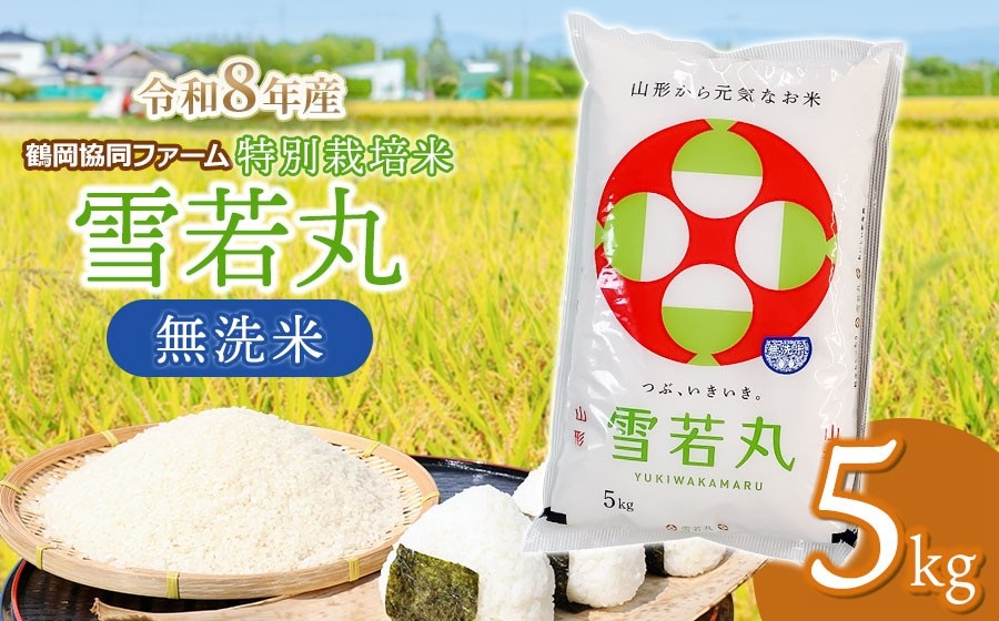 【令和8年産先行予約】 特別栽培米 雪若丸　無洗米 5kg　(5kg×1袋)　山形県鶴岡産　鶴岡協同ファーム