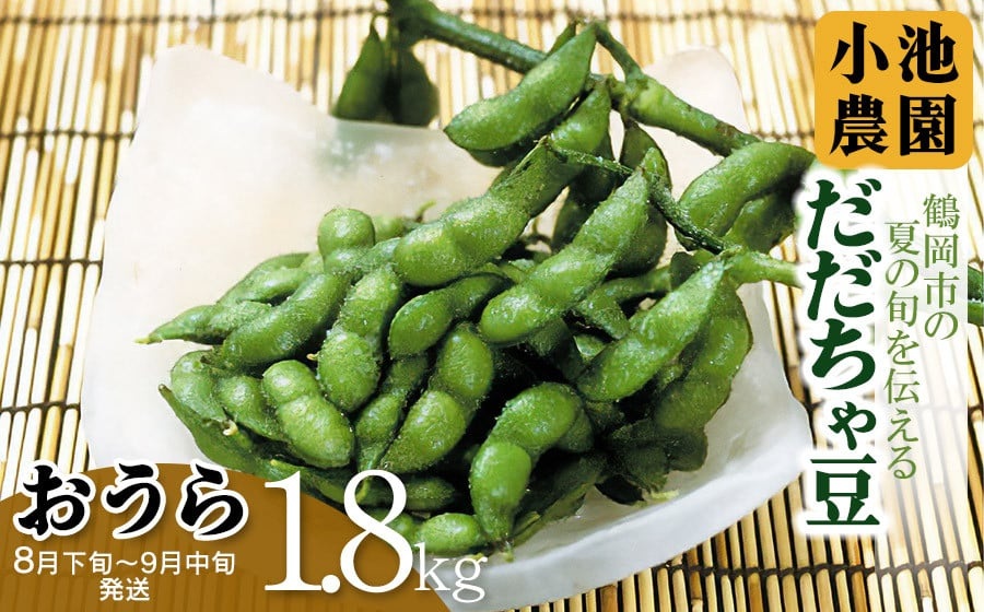 【令和8年産先行予約】【鶴岡の夏の旬を伝える】 小池農園のだだちゃ豆 【おうら】 1.8kg（600g×3袋）K-832