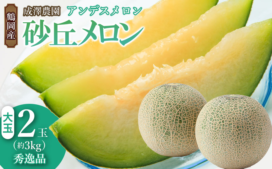 【令和6年産先行予約】鶴岡産砂丘メロン 秀逸品 アンデスメロン 大玉2個(青玉)　成澤農園　A05-602