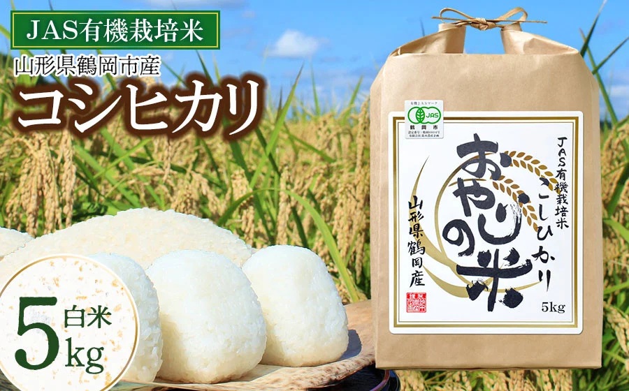 【令和7年産】おやじの米 JAS有機栽培米 コシヒカリ 白米 5kg 山形県鶴岡産　鈴木農産企画