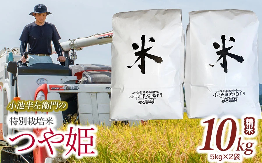 数量限定 【令和7年産】【新米】 山形県庄内産 小池半左衛門のお米 特別栽培米 つや姫 精米 10kg (5kg×2袋)
