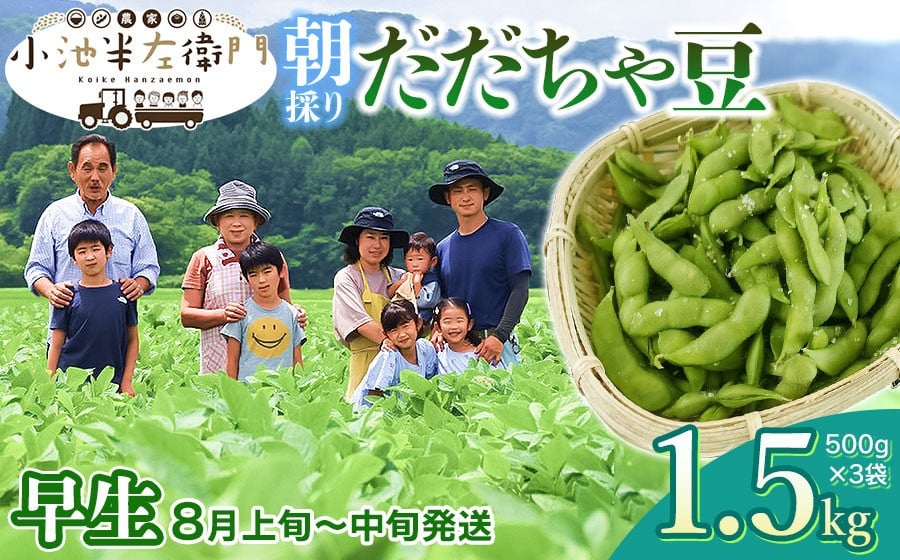 【令和8年産先行予約】朝採りだだちゃ豆 【早生】1.5kg (500g×3袋) 枝豆　小池半左衛門