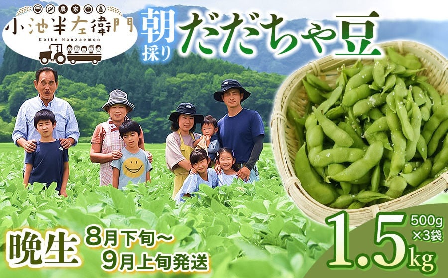 【令和8年産先行予約】朝採りだだちゃ豆 【晩生】1.5kg (500g×3袋) 枝豆　小池半左衛門