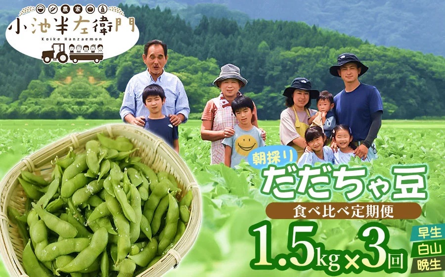 【定期便】【令和8年産先行予約】朝採りだだちゃ豆 食べ比べ 1.5kg (500g×3袋)×3回 お届け 早生・白山・晩生 枝豆　小池半左衛門
