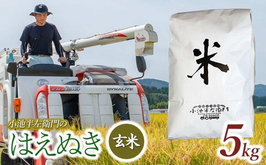 数量限定 【令和7年産】 山形県庄内産 小池半左衛門のお米 はえぬき 玄米 5kg (5kg×1袋)