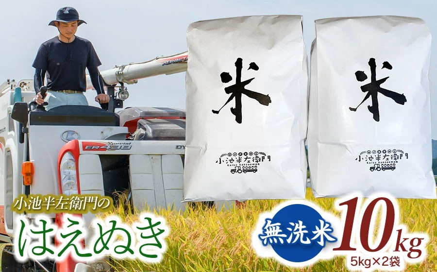数量限定 【令和7年産】 山形県庄内産 小池半左衛門のお米 はえぬき 無洗米 10kg (5kg×2袋)