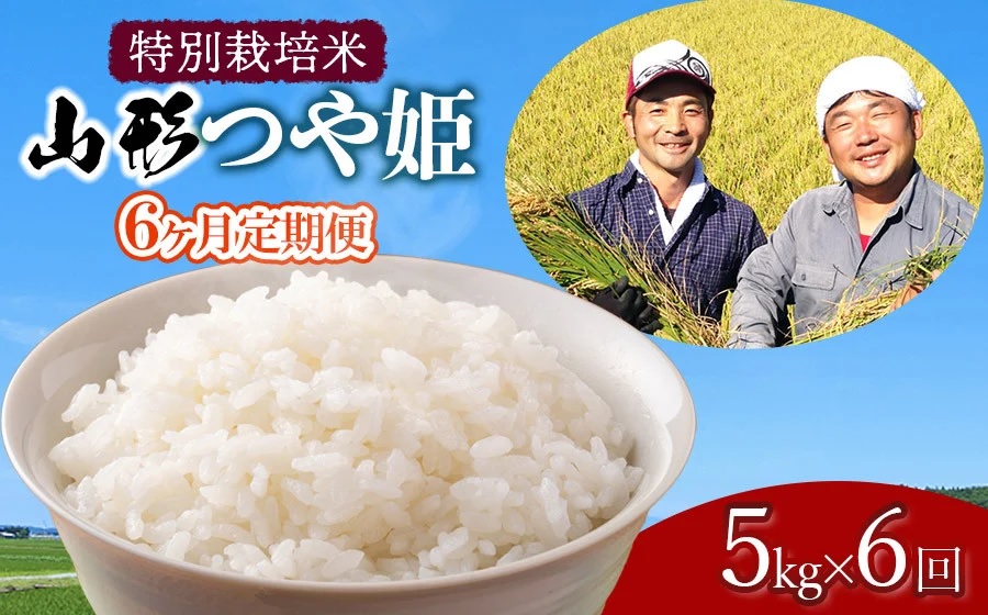 【令和7年産先行予約】【定期便】 特別栽培米 山形つや姫 精米 5kg×6ヶ月　山形県鶴岡市産 鶴岡ファーマーズ