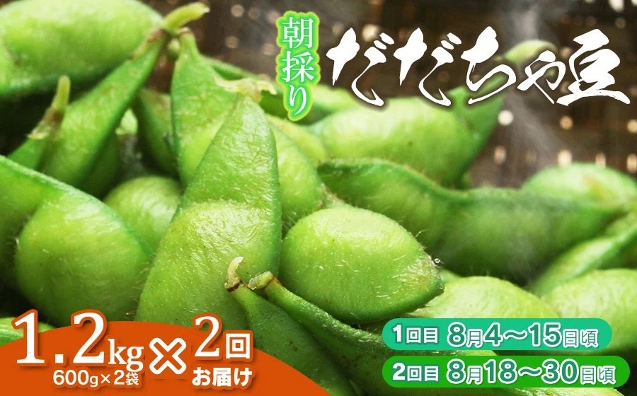【2回定期便】【令和8年産先行予約】 朝採り生だだちゃ豆 1.2kg(600g×2袋) 旬2回お届け (8月上旬、8月下旬) 山形県鶴岡市産　株式会社菜な八（鶴岡ファーマーズ）
