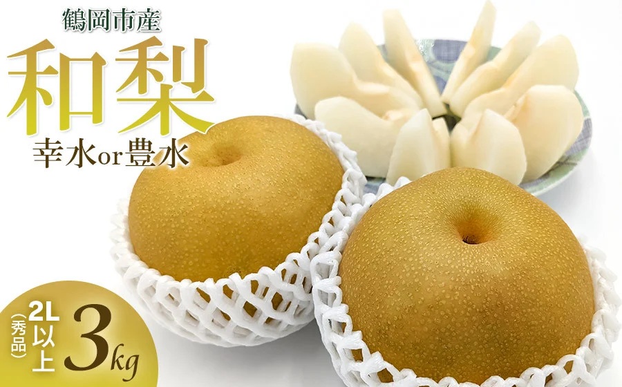 【令和7年産 先行予約】鶴岡市産 和梨 幸水or豊水　約3kg 2L以上（秀品）どちらか1品種　庄内産直センター