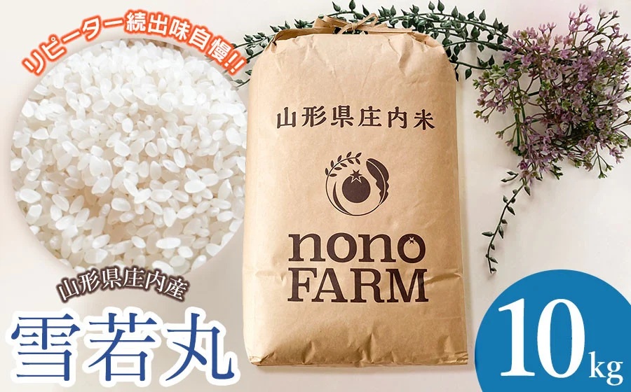 【令和7年産】【新米】山形県庄内産　特別栽培米雪若丸 精米 10kg（10㎏×1袋） 　野々ファーム