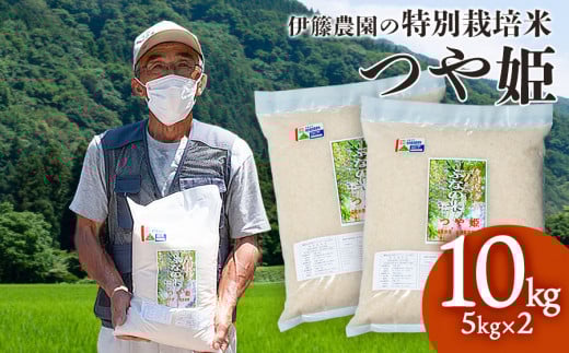 【令和7年産】特別栽培米 つや姫 10kg（5kg×2袋） 山形県 鶴岡市  伊藤農園（伊藤嘉吉）