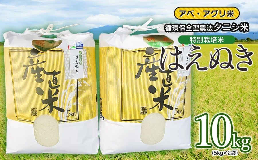 【令和7年産】特別栽培米 はえぬき（タニシ米）精米10kg（5kg×2袋）　山形県鶴岡産　アベ・アグリ米