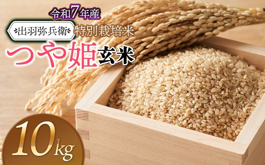 【令和7年産】特別栽培米 つや姫 【玄米】 10kg（5kg×2袋）　山形県鶴岡市産　出羽弥兵衛