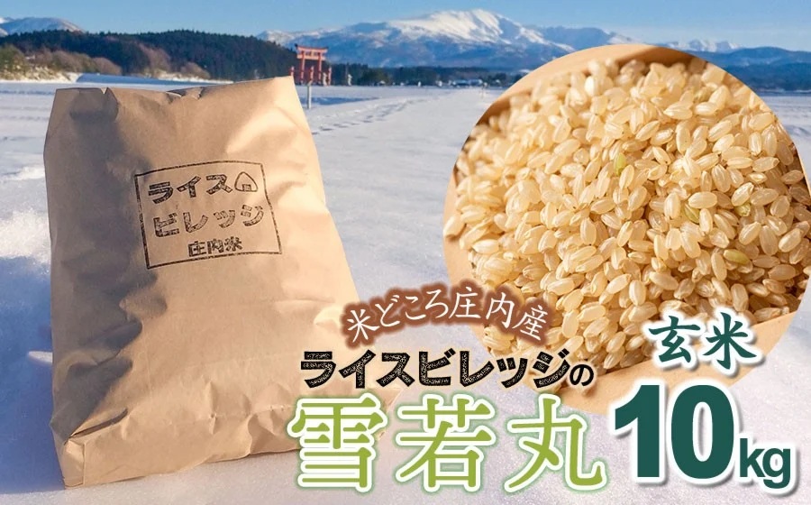 【令和7年産】米どころ庄内産 ライスビレッジの雪若丸 玄米10kg　K-781