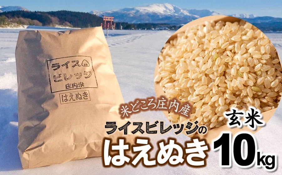 【令和7年産】 米どころ庄内産 ライスビレッジのはえぬき 玄米10kg　K-781