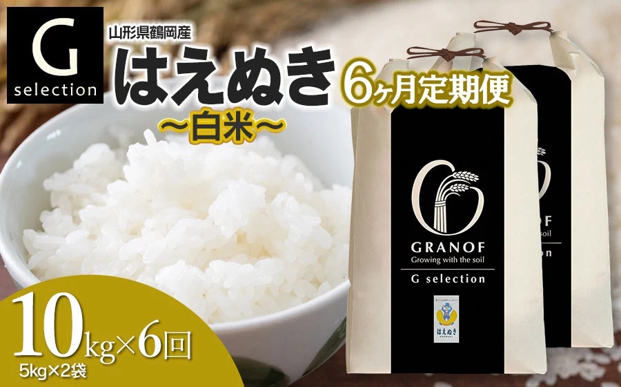 【令和7年産先行予約】【定期便6ヶ月】 Gセレクション はえぬき 白米 10kg (5kg×2袋)×6ヶ月 山形県鶴岡市産　株式会社グラノフ
