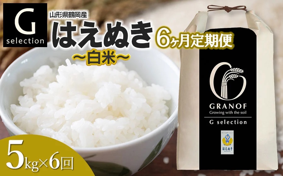 【令和7年産先行予約】【定期便6ヶ月】 Gセレクション はえぬき【白米】 5kg×6ヶ月 山形県鶴岡市産　株式会社グラノフ