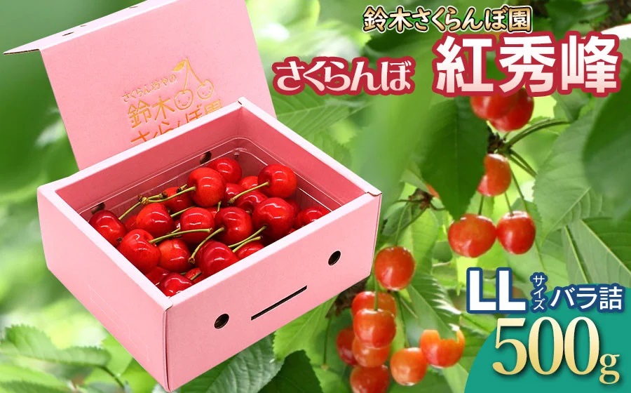 令和7年産先行予約】 さくらんぼ 紅秀峰 LLサイズ バラ詰め 500g 山形県鶴岡産 鈴木さくらんぼ園: 鶴岡市ANAのふるさと納税