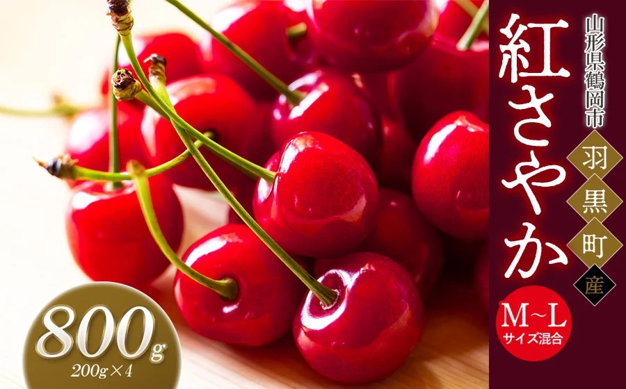 【令和8年産先行予約】さくらんぼ 紅さやか M～Lサイズ混合 バラ詰め 800g (200g×4P) 庄内さくらんぼ園