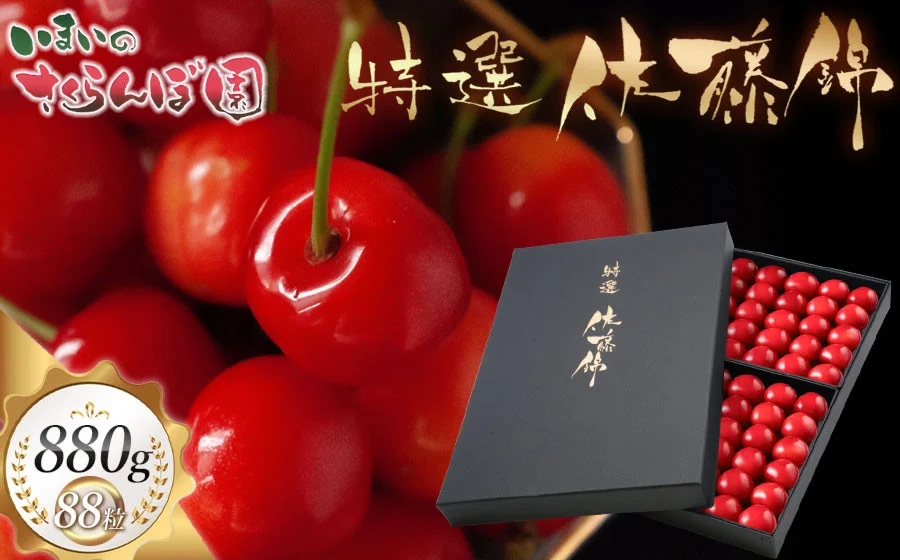 【令和8年産先行予約】【贈答用】 さくらんぼ「佐藤錦」（2Lサイズ）88粒 いまいのさくらんぼ園　K-8114
