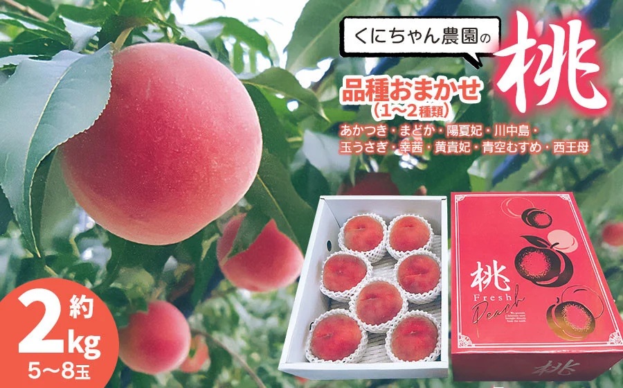 【令和7年産先行予約】 鶴岡市産 桃 (品種おまかせ) 　約2kg　(5～8玉)　くにちゃん農園　K-736