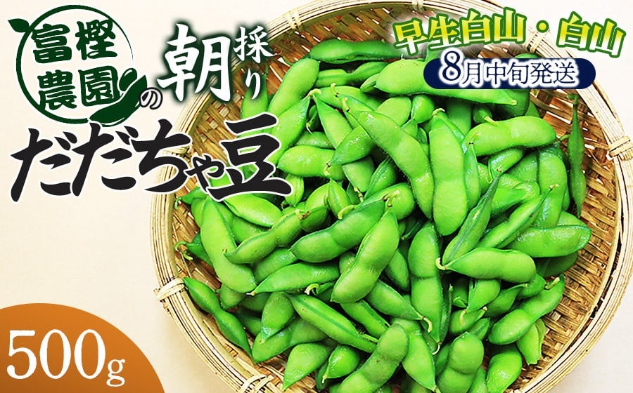 【令和8年産先行予約】 富樫農園の朝採りだだちゃ豆【8月中旬発送】500g　早生白山・白山　K-812
