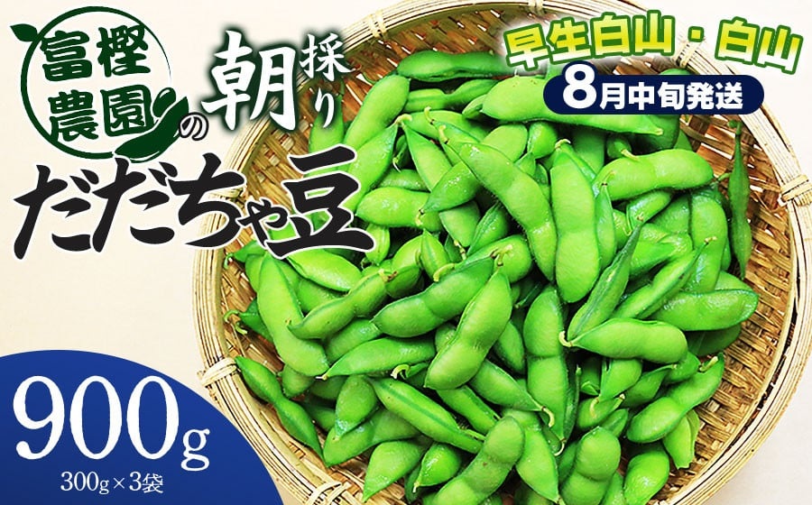 【令和8年産先行予約】 富樫農園の朝採りだだちゃ豆【8月中旬発送】900g (300g×3袋) 早生白山・白山　K-820