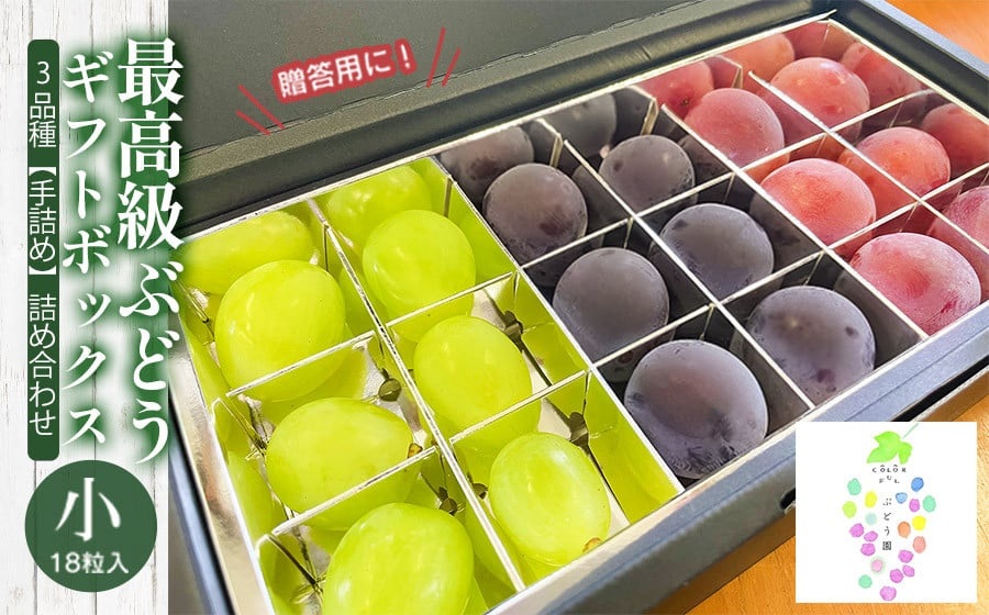 【令和8年産先行予約】贈答用に　大粒選りすぐり　最高級ぶどう ギフトボックス【小】18粒入 高級3品種 詰合せ（手詰め）　カラフルぶどう園