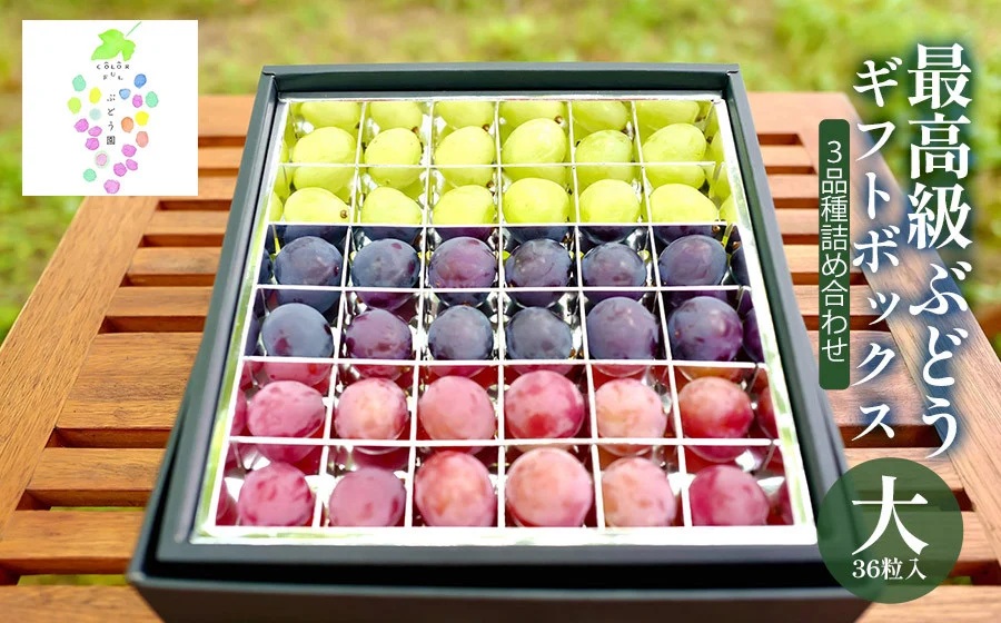 【令和8年産先行予約】贈答用に　大粒選りすぐり　最高級ぶどう ギフトボックス【大】36粒入 高級3品種 詰合せ（手詰め）　カラフルぶどう園