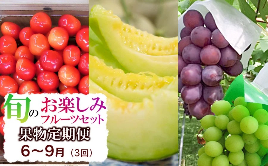 【定期便】【令和8年産先行予約】 山形県鶴岡産 旬のお楽しみフルーツセット (果物) さくらんぼ・メロン・大粒ぶどうの詰合せ (計3回)　産直あぐり