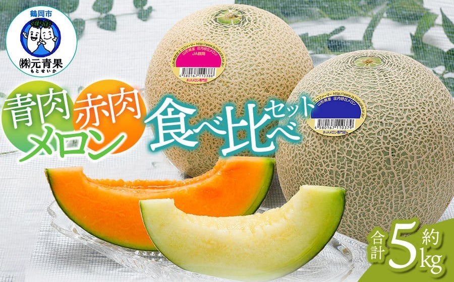 【令和7年産先行予約】 庄内砂丘青肉・赤肉メロン食べ比べ 各2玉 (計4玉) 約5kg 山形県鶴岡市産　株式会社 元青果