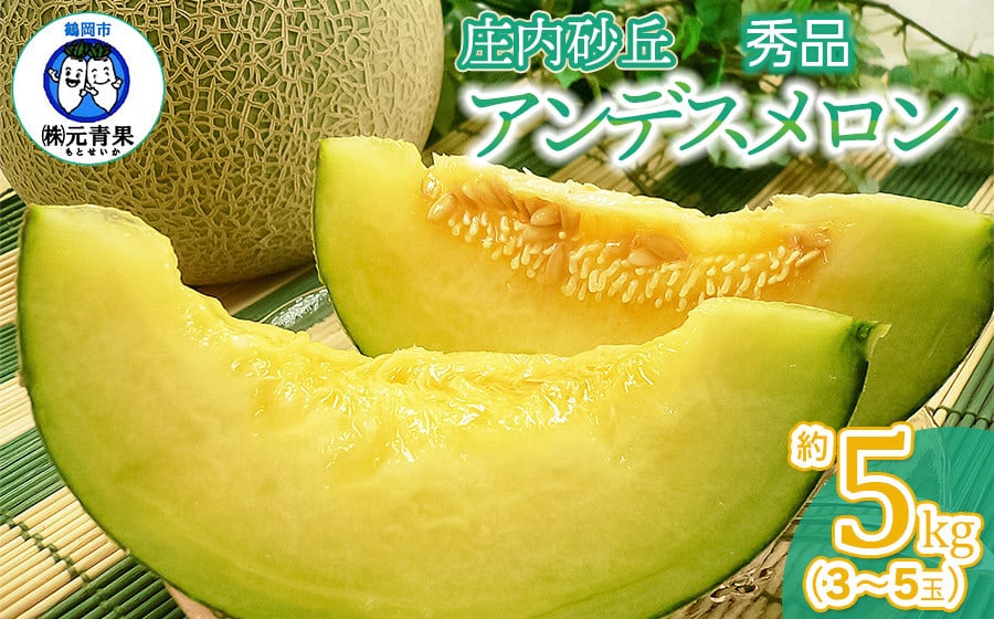 【令和8年産先行予約】 アンデスメロン 秀品 約5kg (3～5玉) 山形県鶴岡市産　株式会社 元青果