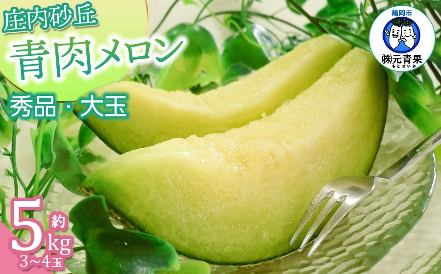 【令和8年産先行予約】 庄内砂丘青肉メロン 秀品 大玉 約5kg (3～4玉)　山形県鶴岡市産　株式会社 元青果