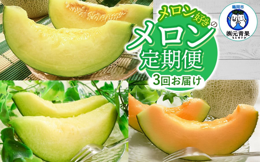 【令和8年産先行予約】 メロン好きのメロン定期便 【3回お届け】 山形県鶴岡市産　株式会社 元青果
