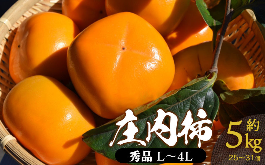 【令和8年産先行予約】 庄内柿 (L～4Lサイズ) 秀品 約5kg (25～31個) 山形県鶴岡市産　株式会社 元青果