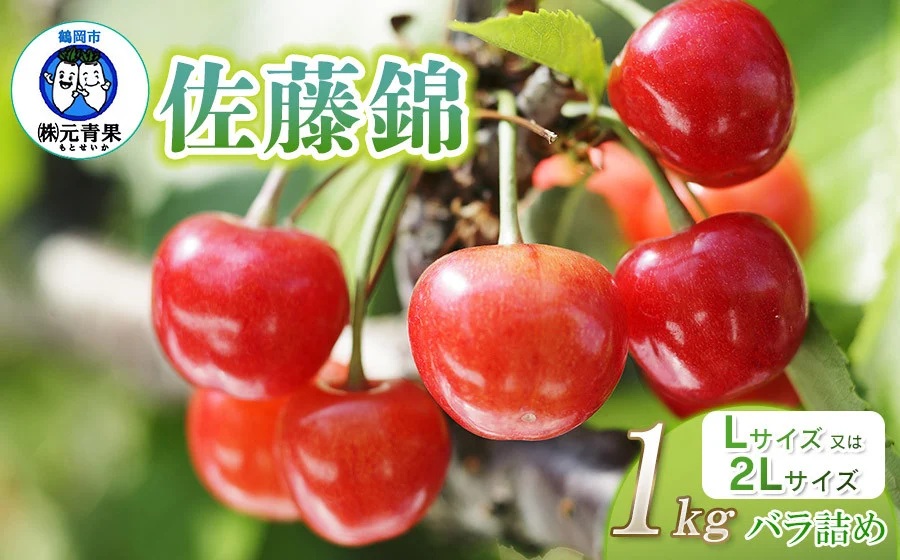 【令和8年産先行予約】 さくらんぼ 佐藤錦 (L又は2Lサイズ) 1kg バラ詰め 山形県鶴岡市産　株式会社 元青果