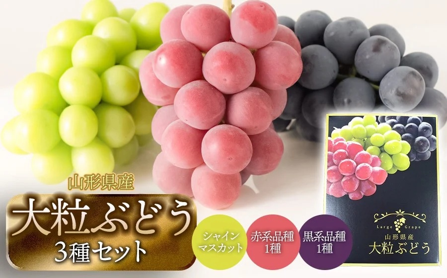 【令和8年産先行予約】大粒ぶどう3種　約2kg　シャインマスカット＋他2品種　丸果庄内青果
