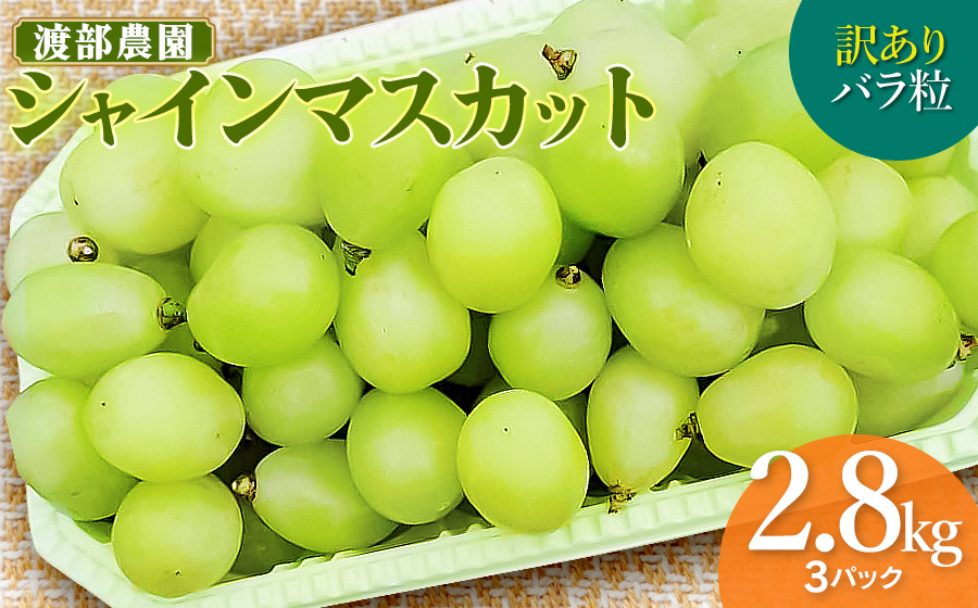 【令和8年産先行予約】【訳あり】 バラ粒 シャインマスカット 約2.8kg以上（3パック)　山形県鶴岡市　渡部農園