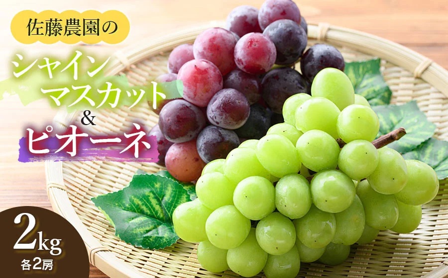 【令和8年産先行予約】 シャインマスカット・ピオーネ (各2房ずつ) 約2kg　佐藤農園