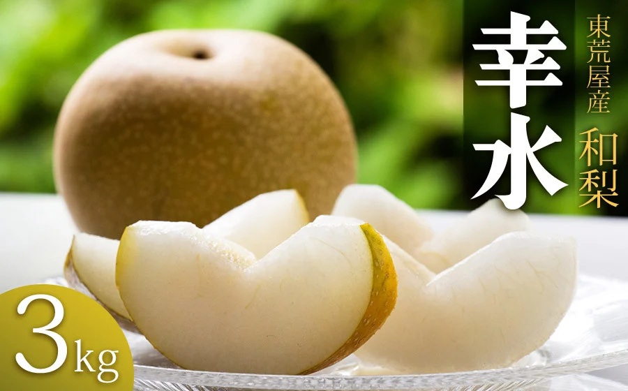 【令和7年産先行予約】 東荒屋産 幸水　(和梨)  3kg　山形県鶴岡市 鶴岡中央青果