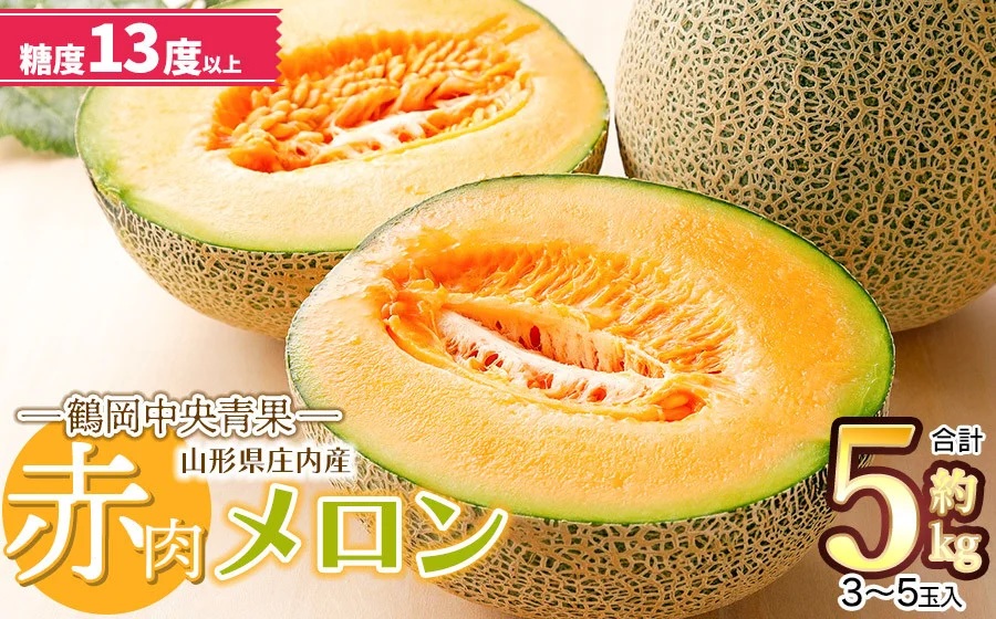 【令和7年産】 庄内産メロン 【赤肉】3～5玉　約5kg 糖度13度以上 山形県鶴岡市 鶴岡中央青果