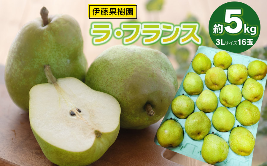 【令和8年産先行予約】ラ・フランス（洋梨） 3Lサイズ 約5kg (16玉)　伊藤果樹園
