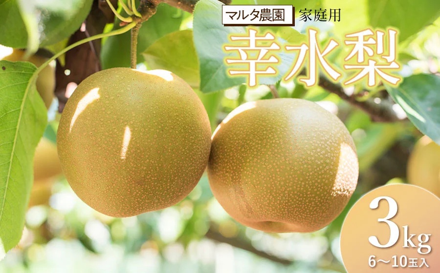 【令和8年産 先行予約】家庭用　幸水梨 3kg　(6～10玉)　マルタ農園