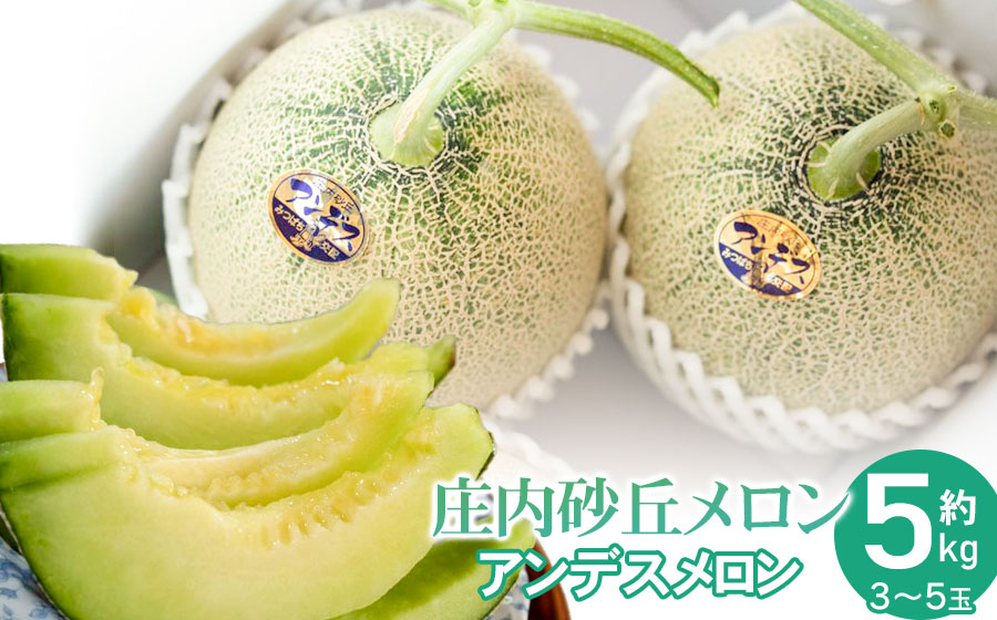 【令和8年産先行予約】菅原農園の庄内砂丘メロン 約5kg （3玉～5玉） アンデス メロン 【7月下旬～8月上旬】　k-839　菅原農園　鶴岡地区物産協同組合