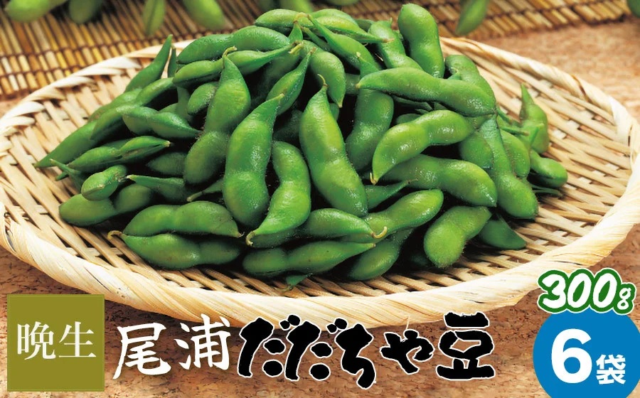 【令和7年産】尾浦 だだちゃ豆 300g×6袋（計1800g）【晩生】  株式会社 清川屋