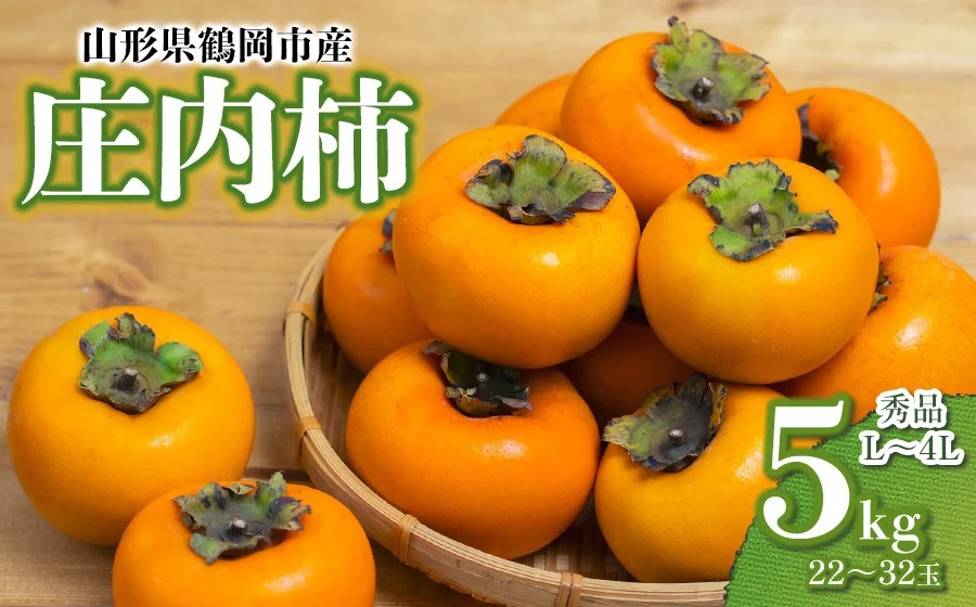 【令和7年産 先行予約】庄内柿 秀品 L～4L 約5kg（22～32玉）　山形県鶴岡市産
