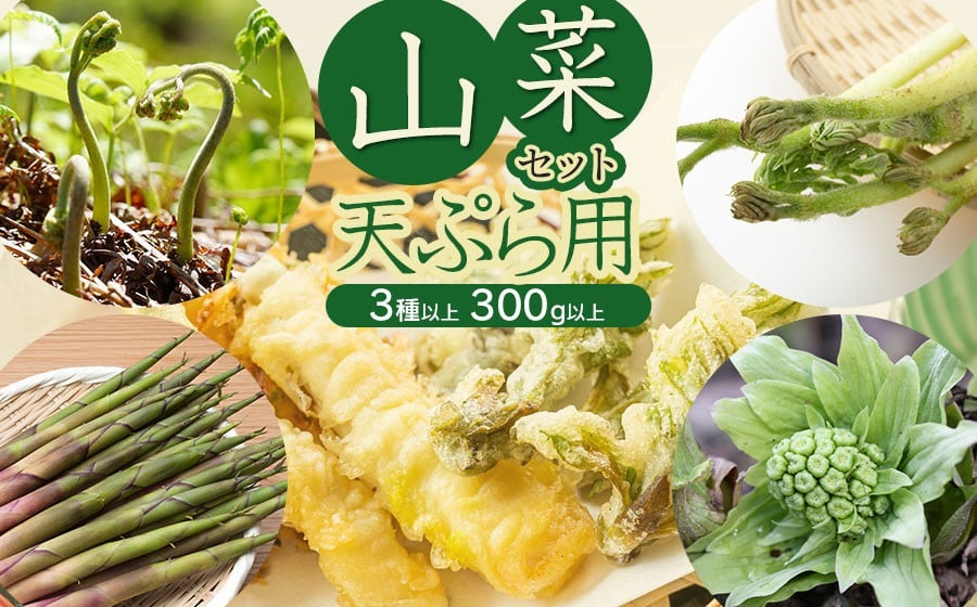 【令和8年発送】山菜セット天ぷら用（3種以上）　タラの芽、山ウド、月山筍など　計300g以上　グレイスファーム