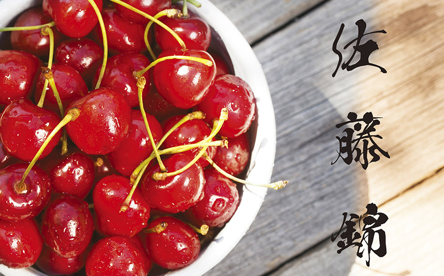 【令和7年産 先行予約】「佐藤錦」 L〜2Lサイズ バラ詰め 1kg　うまい庄内