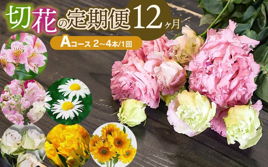 鶴岡産切花の定期便12ヶ月　Aコース　花蔵（HANAZO）　K-722