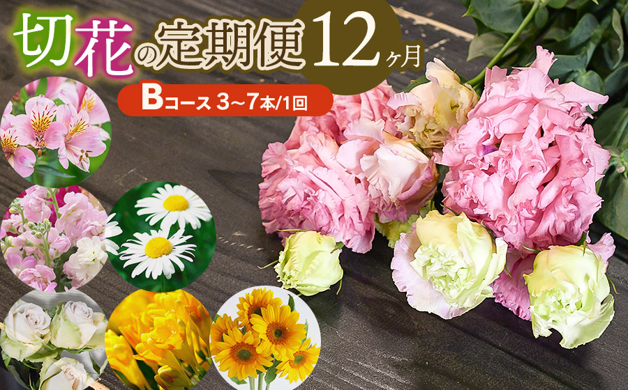 鶴岡産　切花の定期便12ヶ月 Bコース　花蔵（HANAZO）　K-733